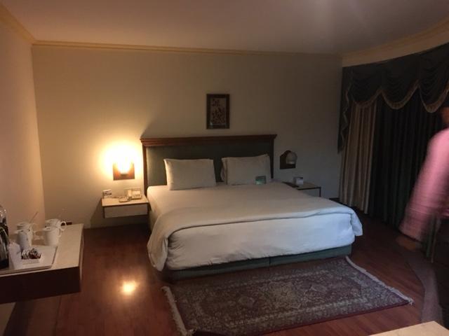 Shiva Oasis Resort Neemrana Oda fotoğraf